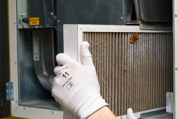 Best Best Air Duct Cleaning Company  in Golden Meadow, LA