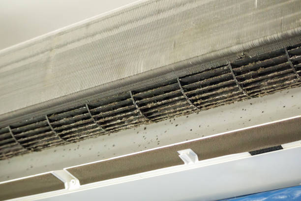 Best HVAC Air Duct Cleaning  in Golden Meadow, LA