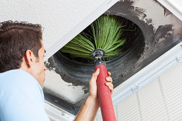 Best HVAC System Cleaning  in Golden Meadow, LA