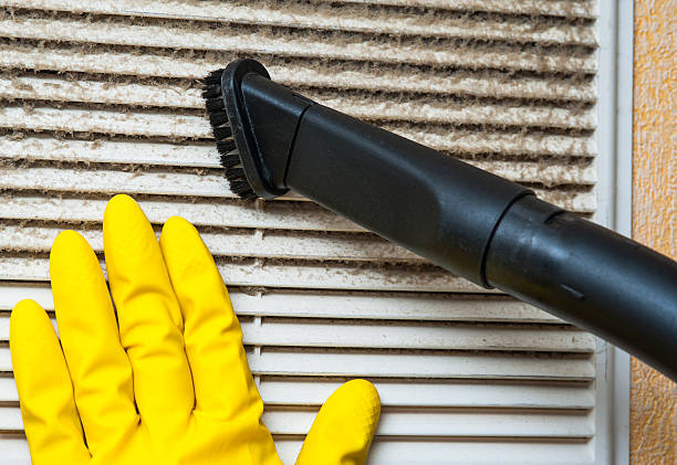 Best Air Duct Mold Removal  in Golden Meadow, LA