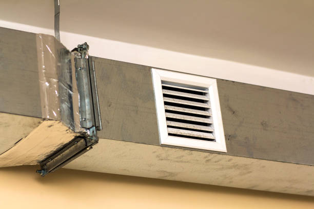Air Duct Mold Removal in Golden Meadow, LA